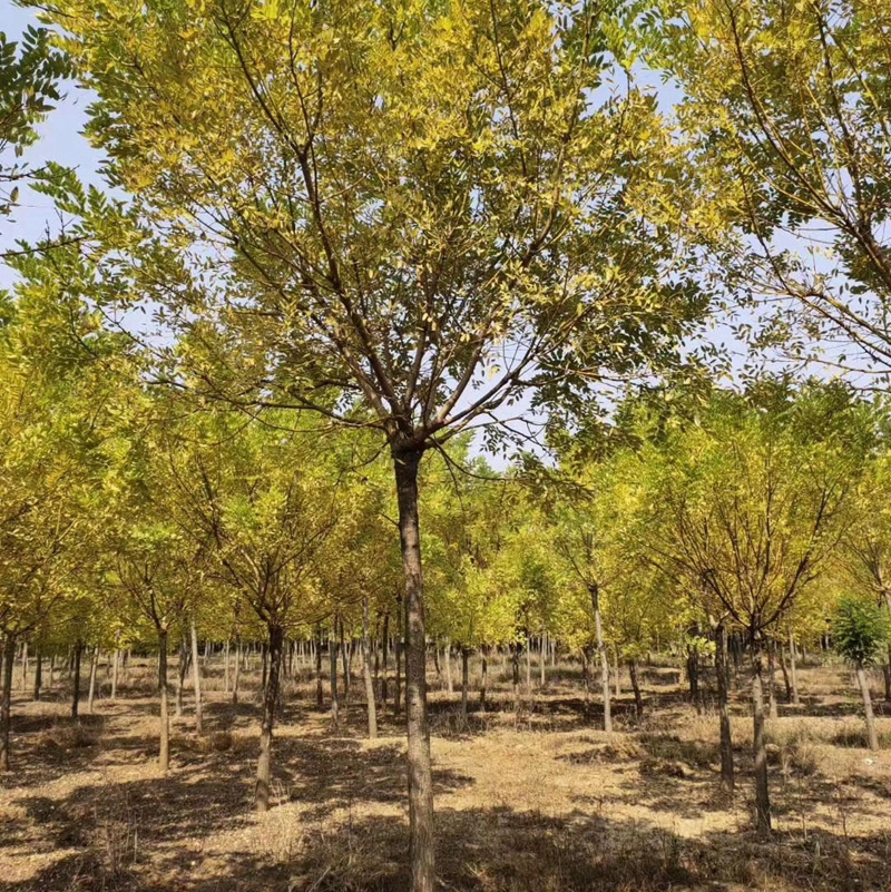huangjh014.jpg
