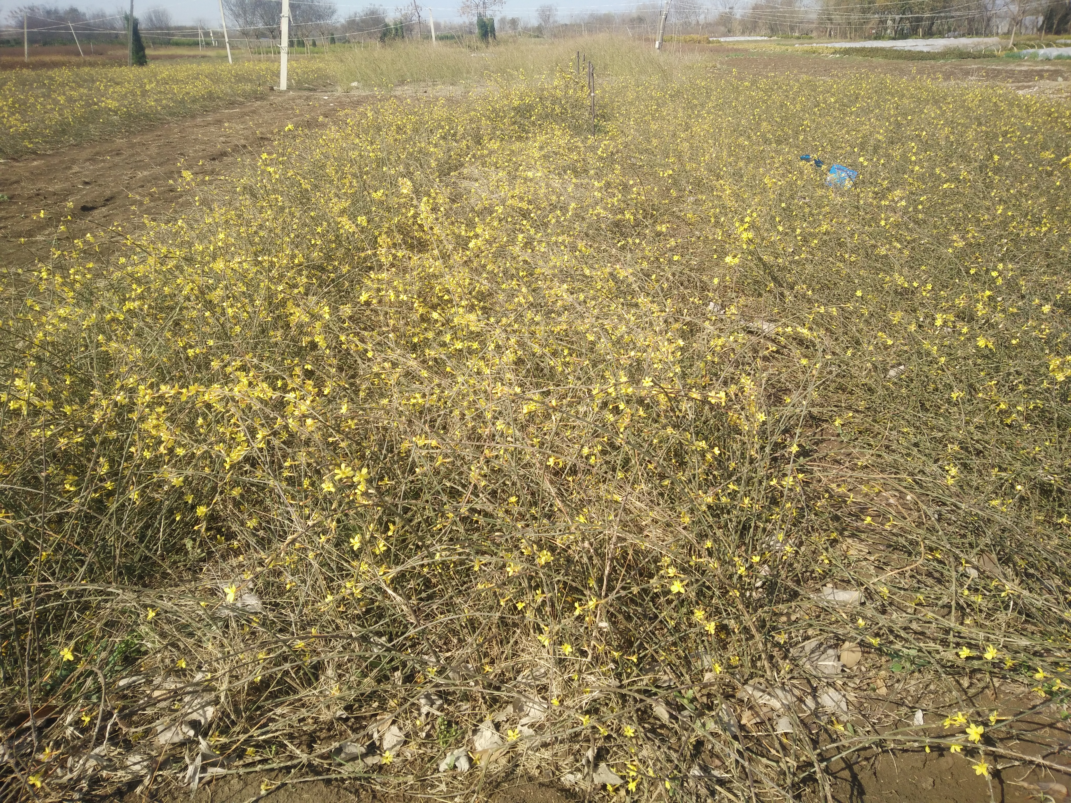 IMG20180316095959.jpg