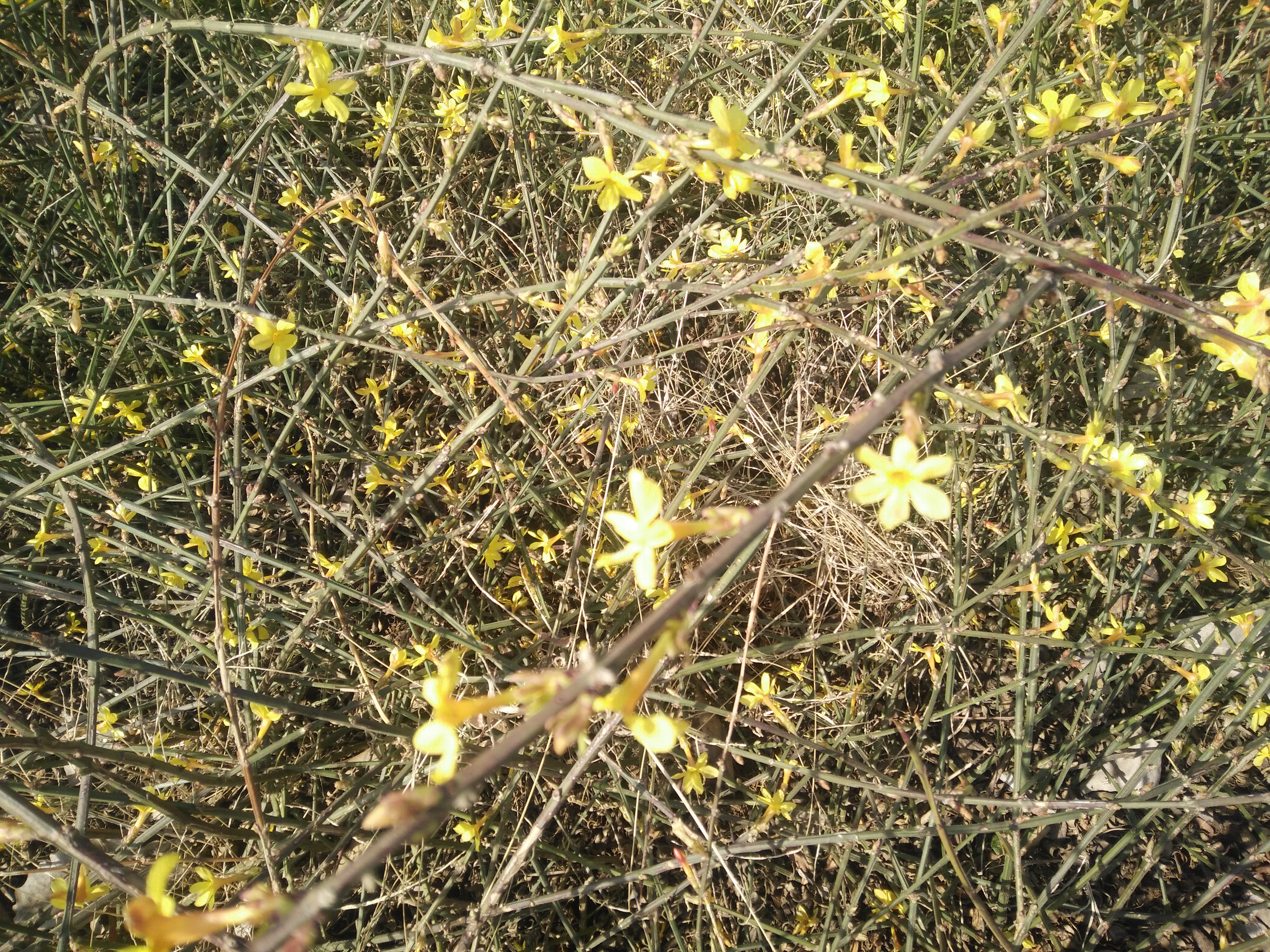 IMG20180316100004.jpg