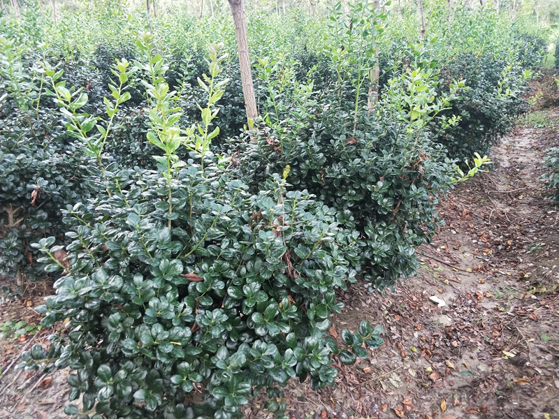 IMG20180822173343.jpg