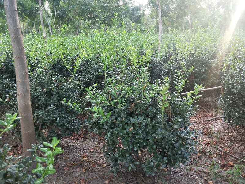 IMG20180822173345.jpg