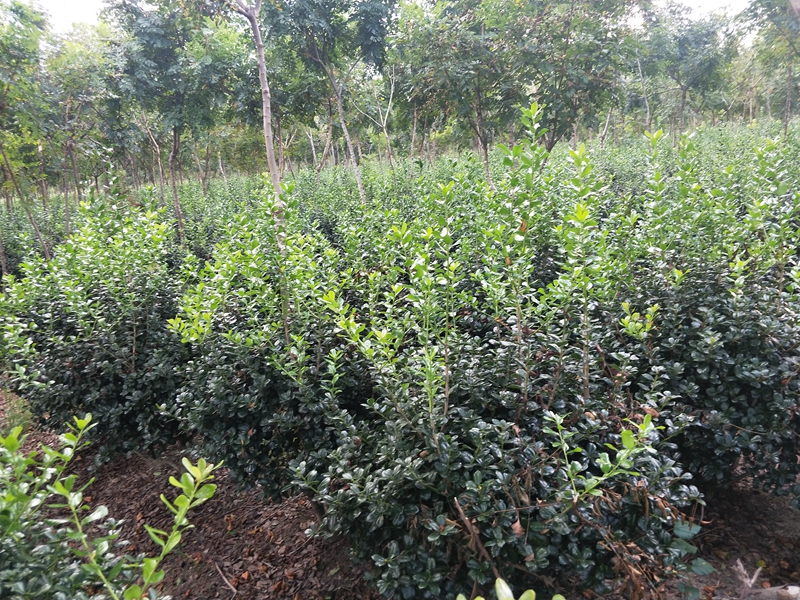 IMG20180822173350.jpg