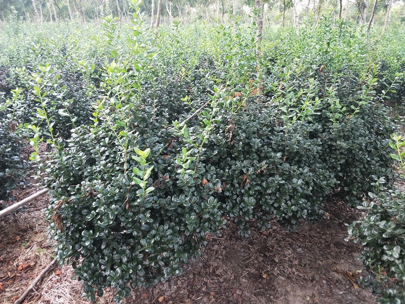 IMG20180822173355.jpg