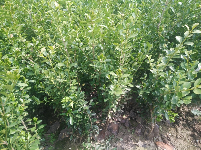 IMG20180402124853.jpg