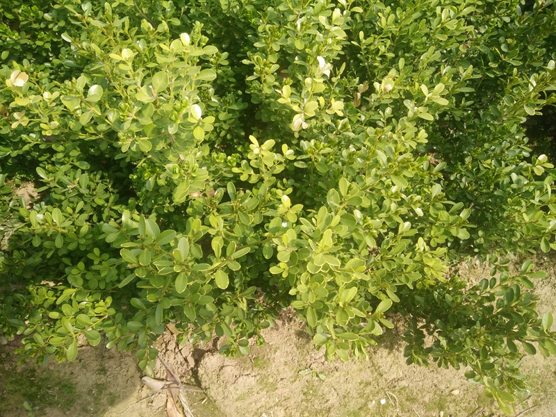 IMG20180402124905.jpg