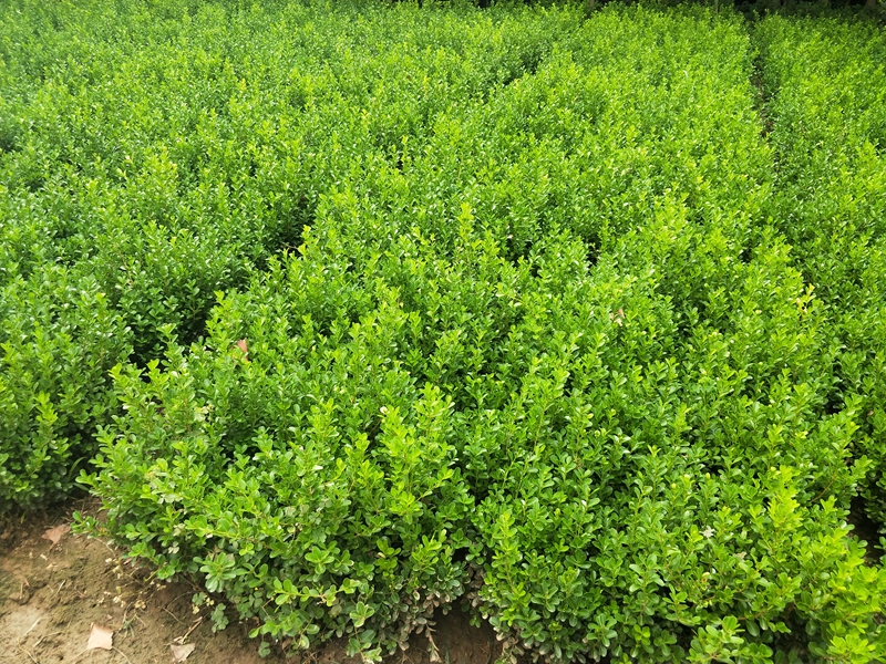 IMG20180801122346.jpg