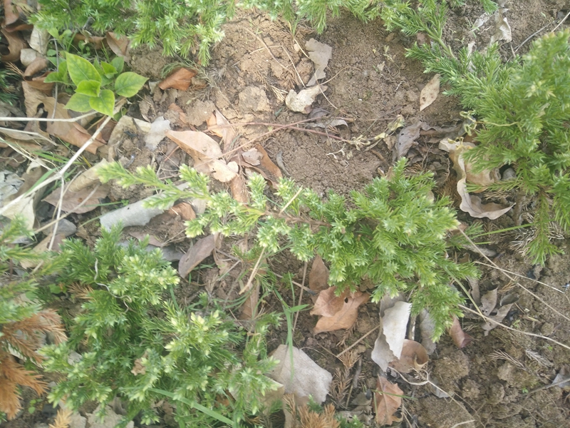 IMG20180410093010.jpg