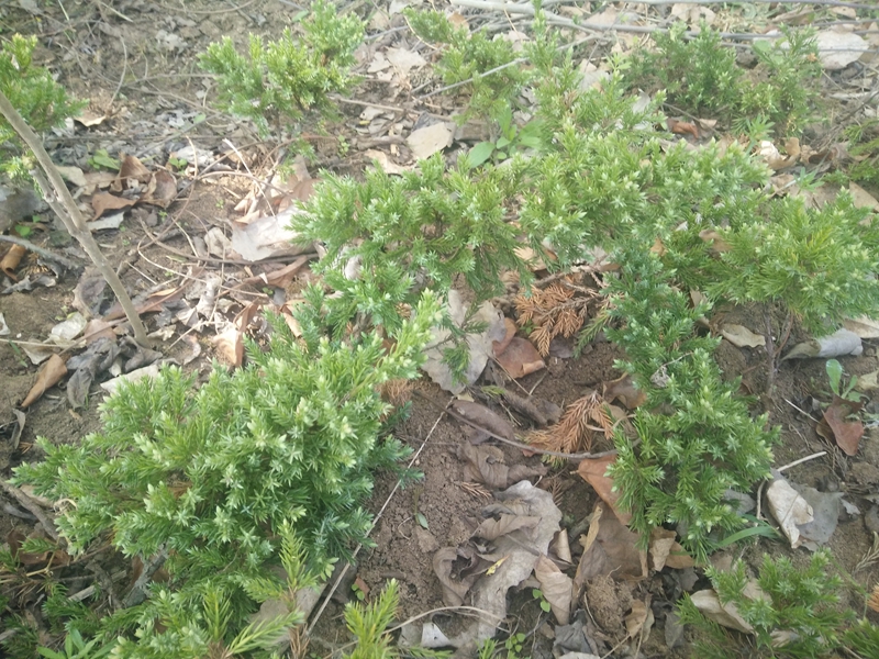 IMG20180410093014.jpg