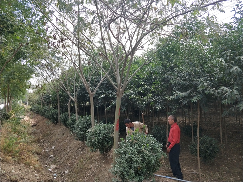 IMG20181015092831.jpg