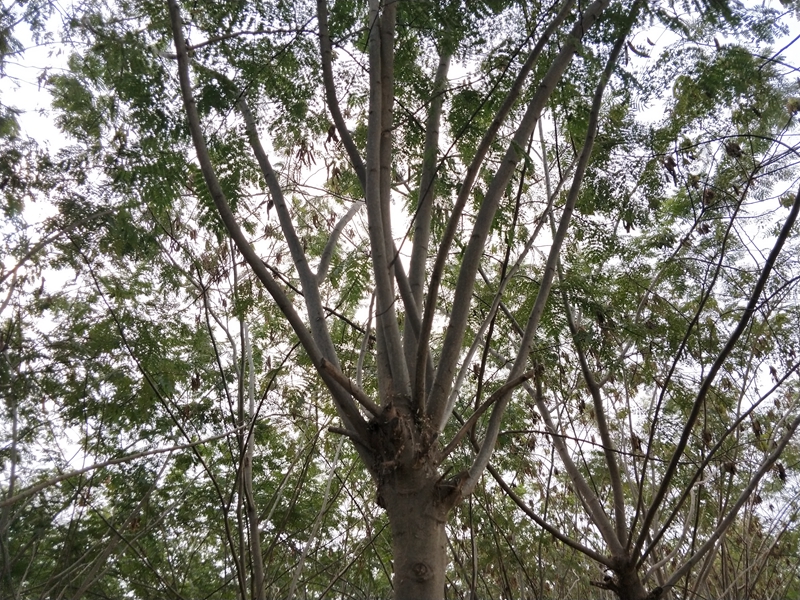 IMG20181015093032.jpg
