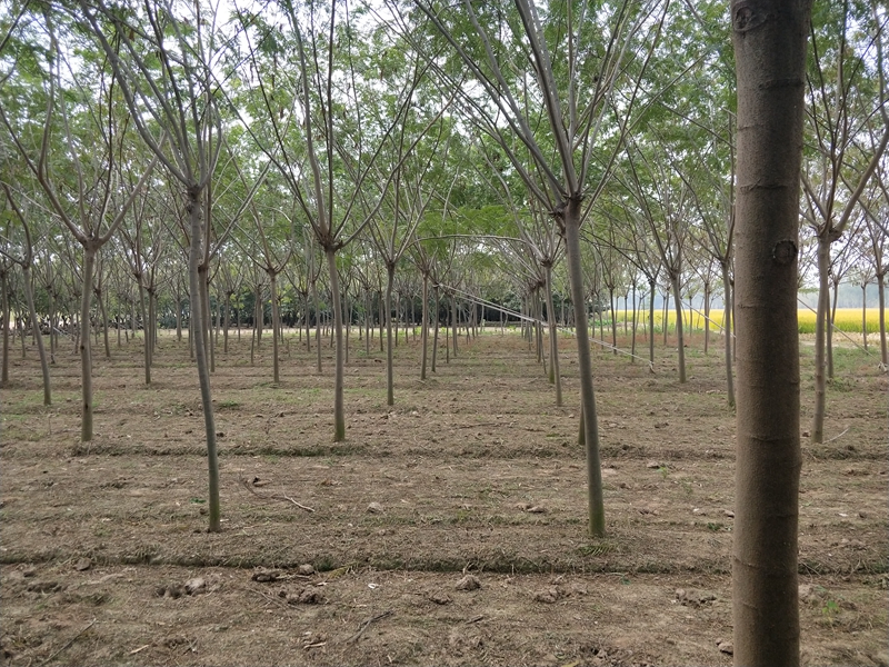 IMG20181015093220.jpg