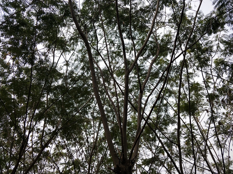 IMG20181015093249.jpg