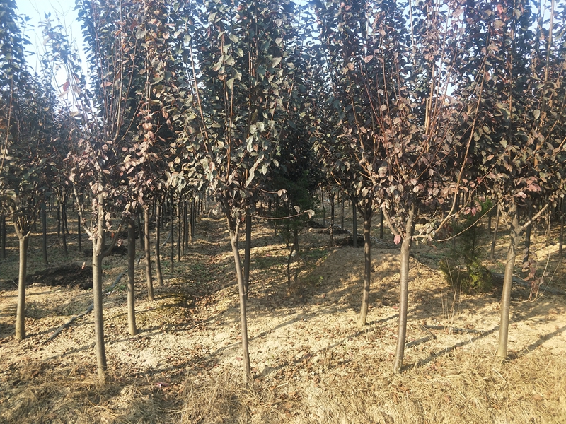 IMG20181012151550.jpg
