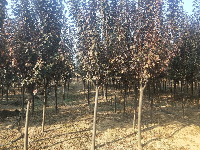 IMG20181012151609.jpg