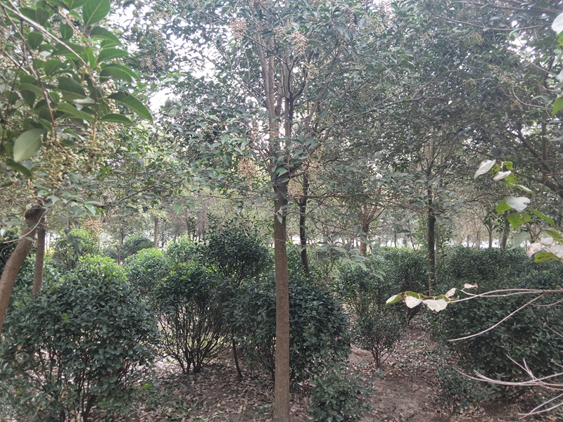 IMG20181015080643.jpg