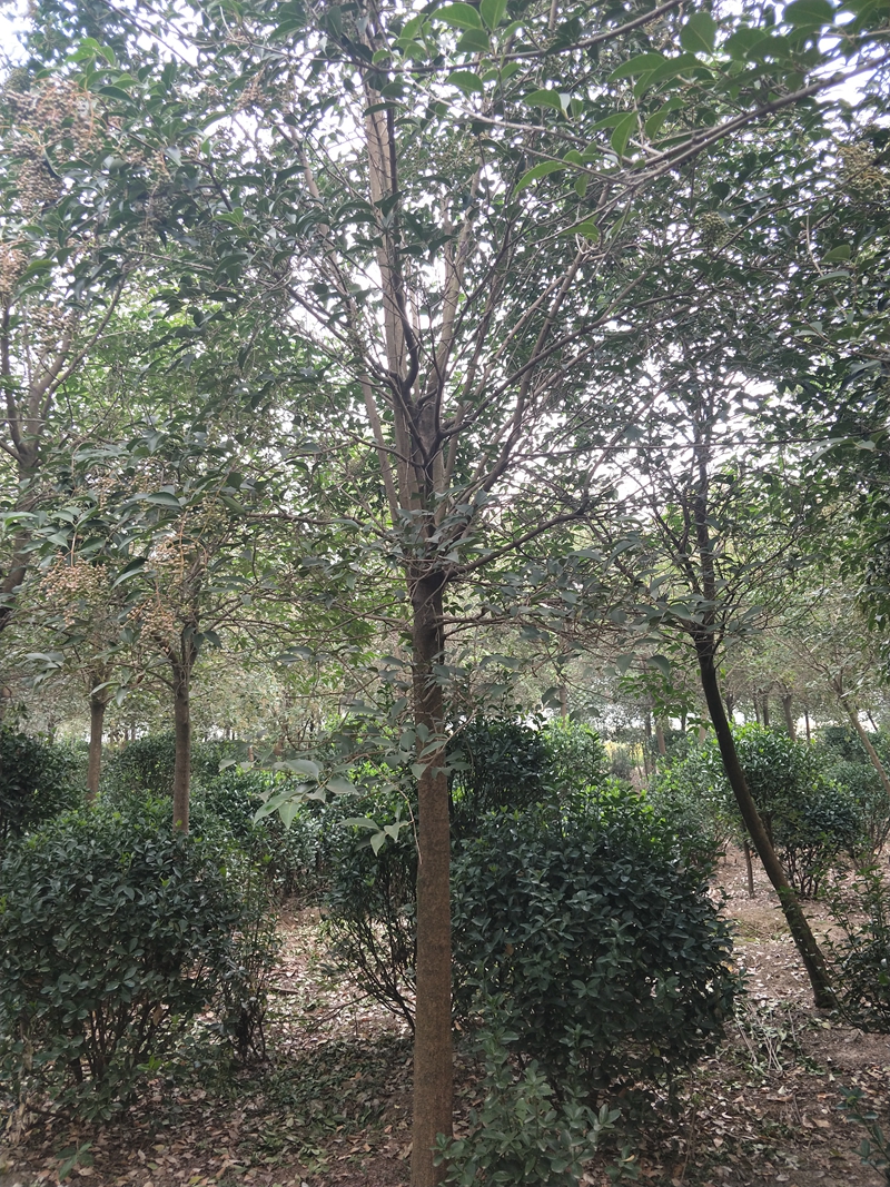 IMG20181015081552.jpg