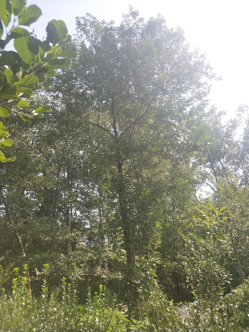 IMG20180924101258.jpg