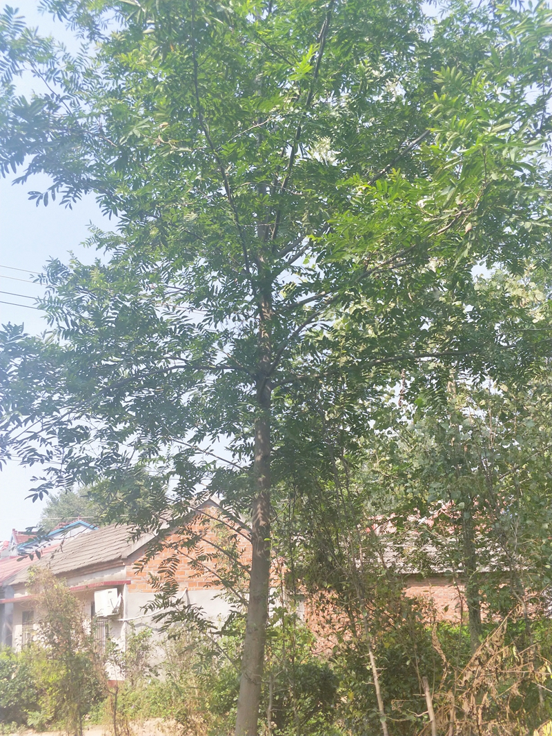 IMG20180924101545.jpg