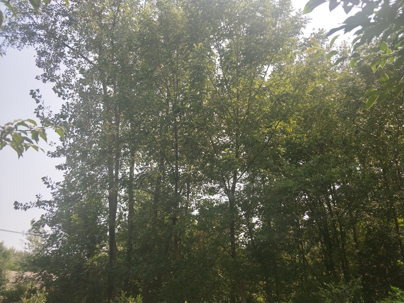 IMG20180924101422.jpg
