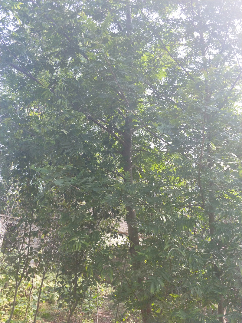 IMG20180924101605.jpg