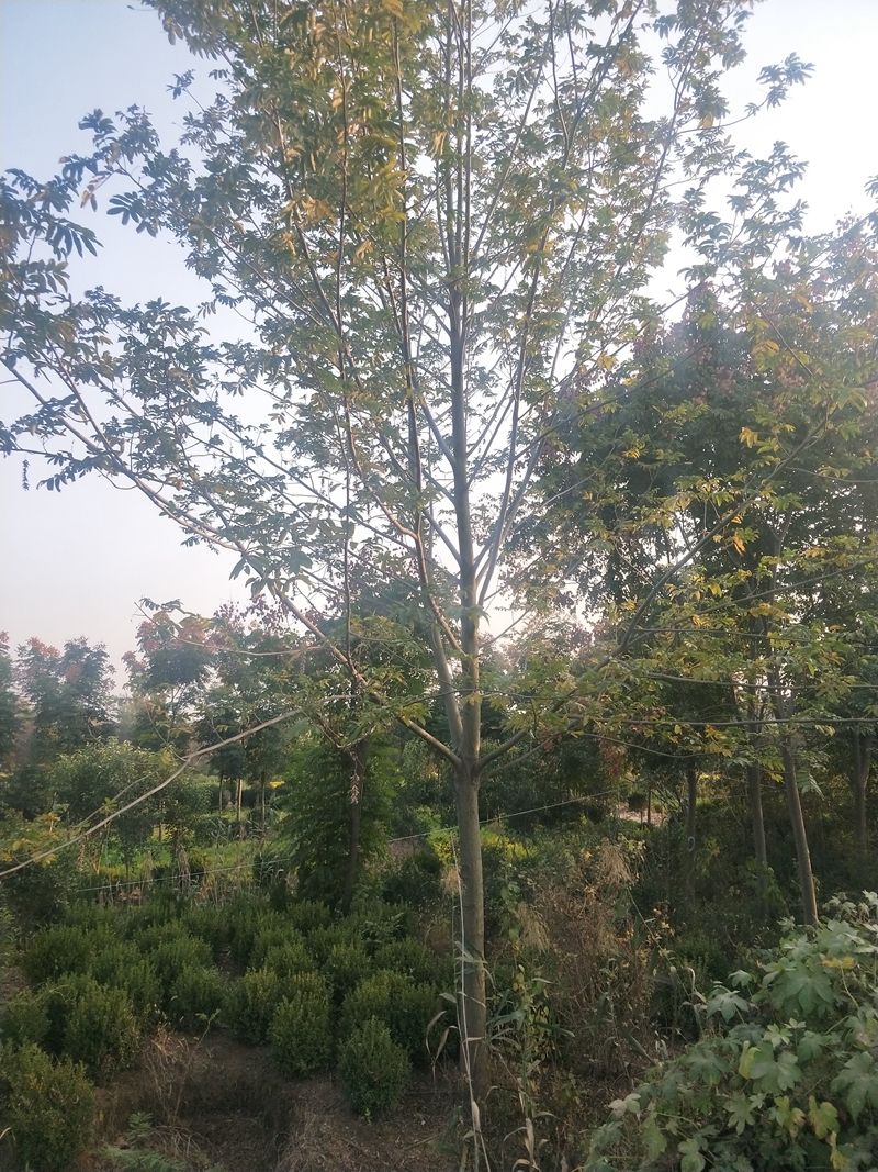 IMG20181012163249.jpg