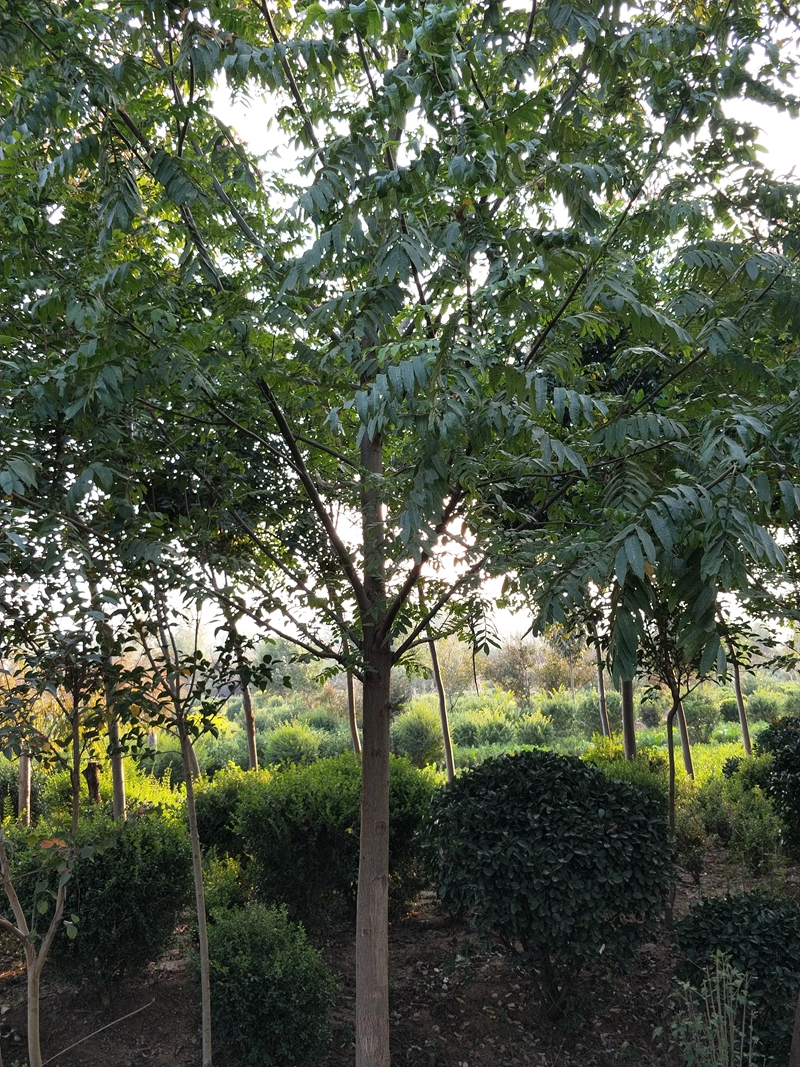 IMG20181012163344.jpg