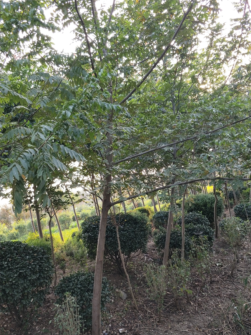 IMG20181012163347.jpg