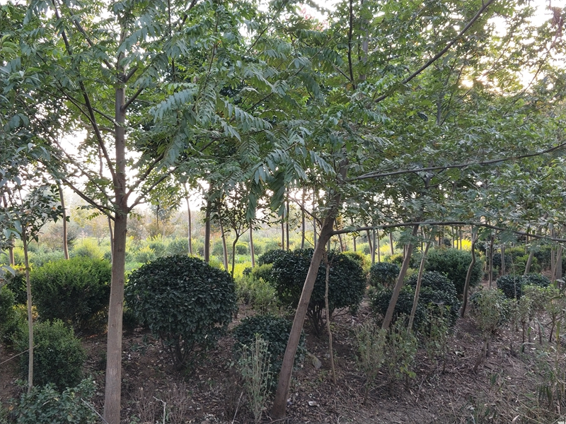 IMG20181012163354.jpg