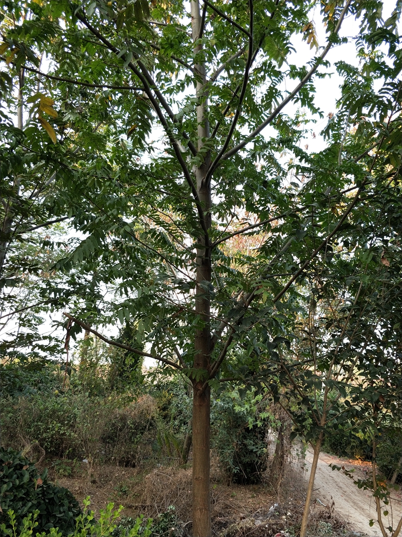IMG20181012163416.jpg
