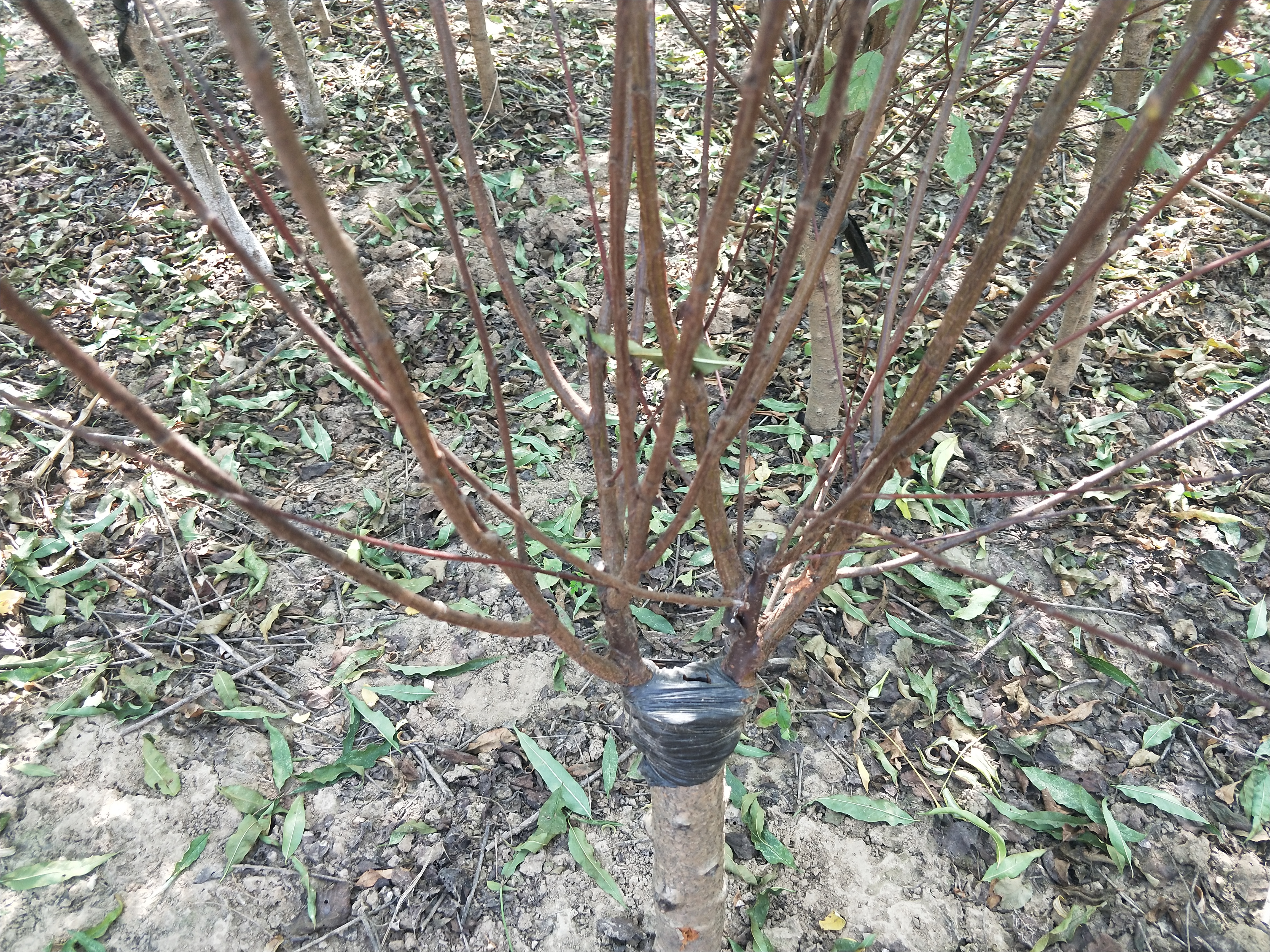 IMG20181019130121.jpg