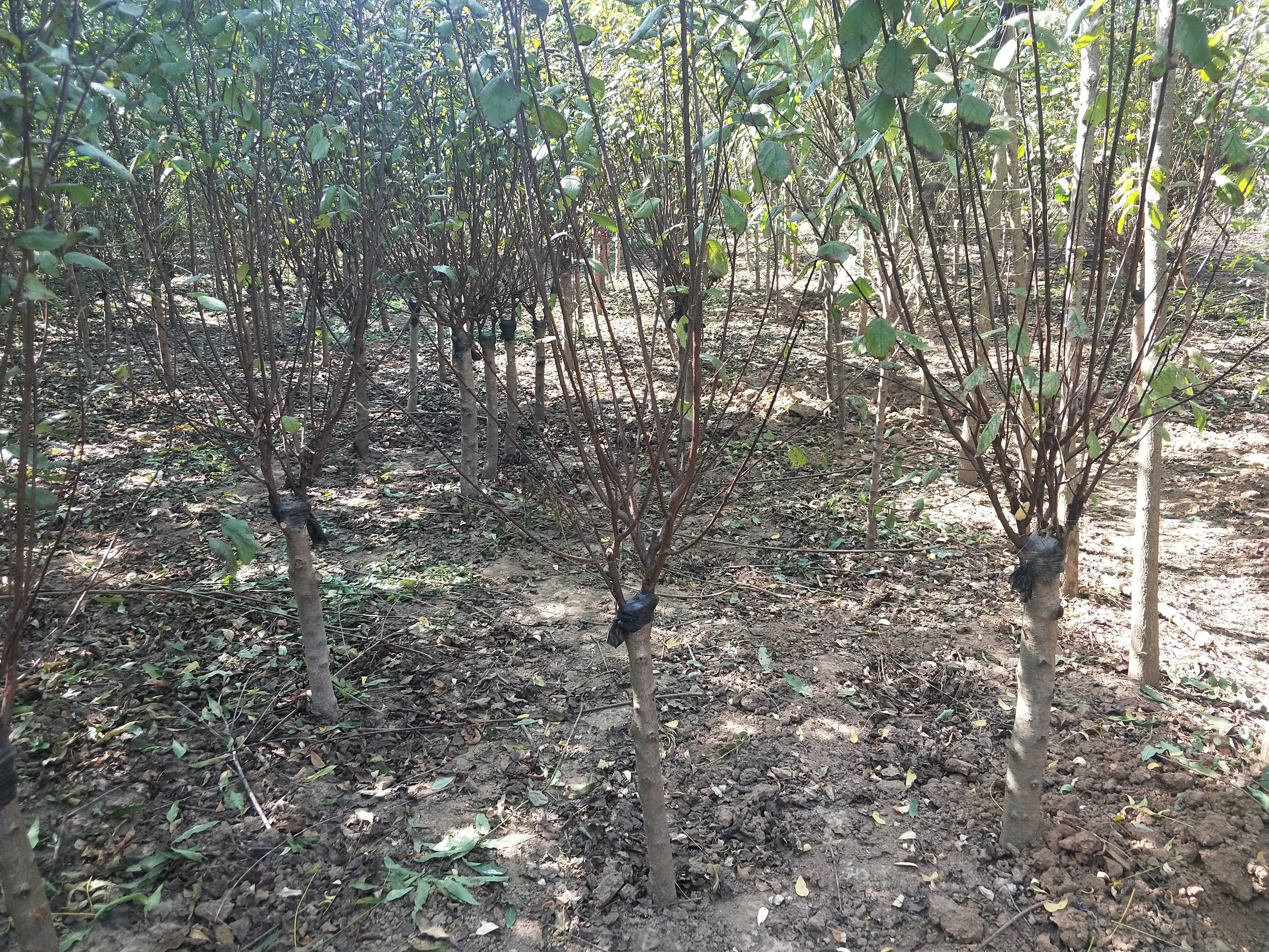 IMG20181019130116.jpg