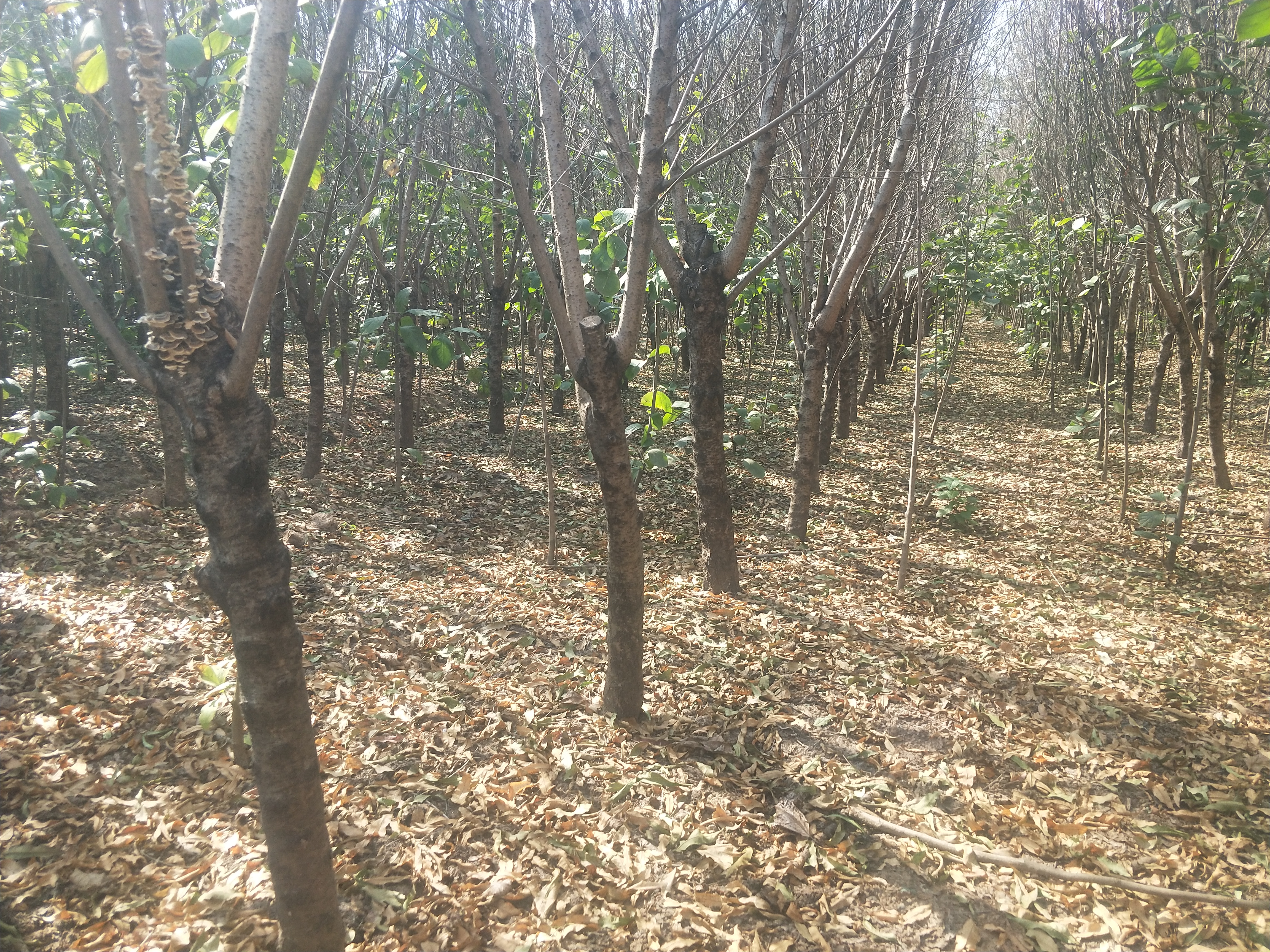 IMG20181019130930.jpg