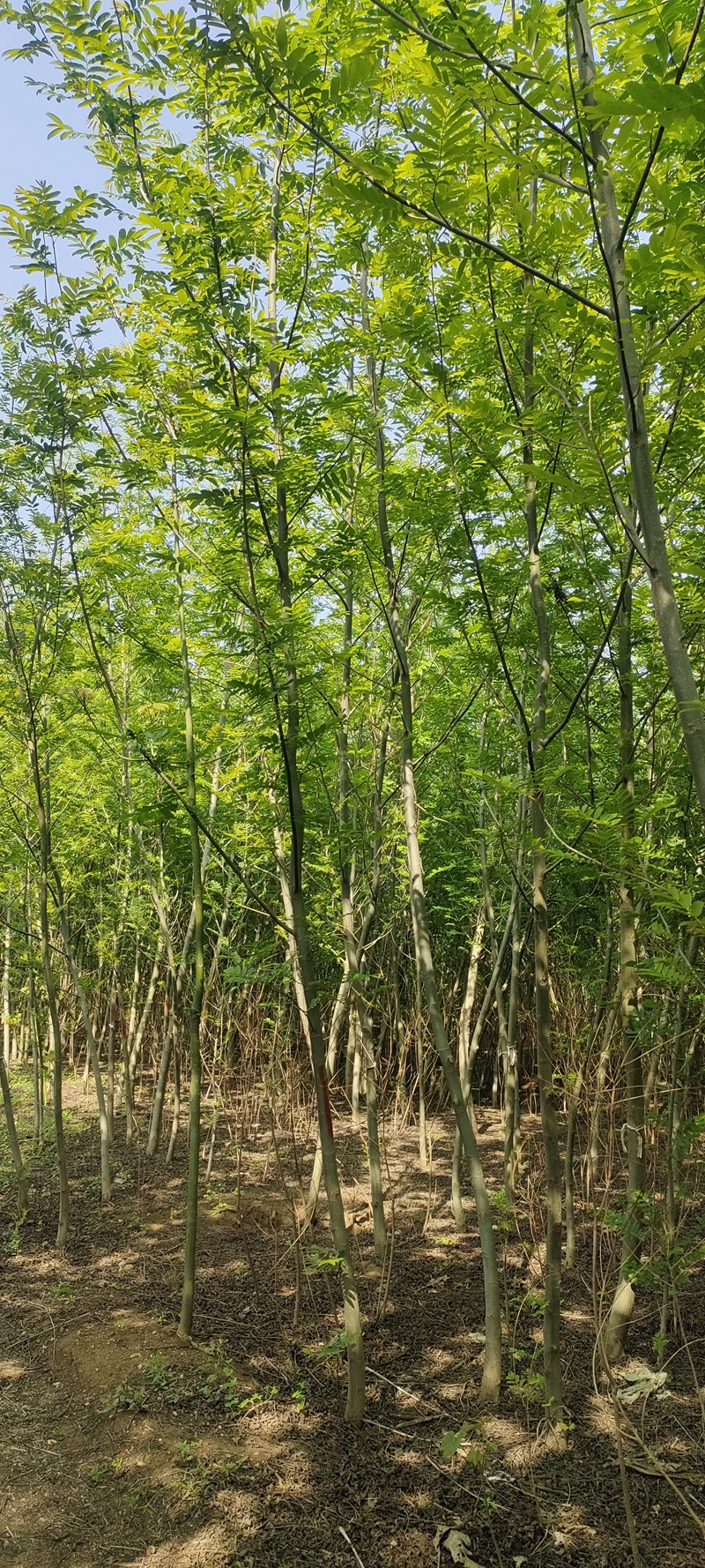 IMG20230419151115.jpg