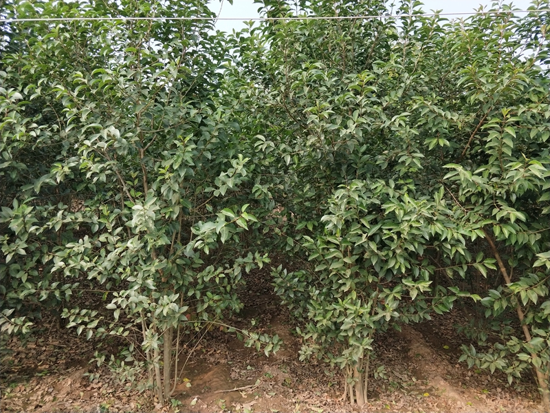 IMG20181017101439.jpg