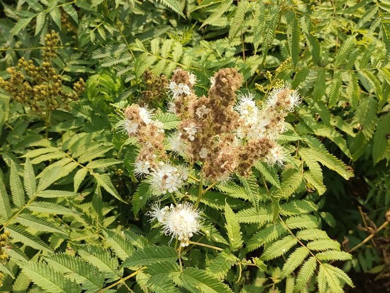 IMG20220912143022.jpg