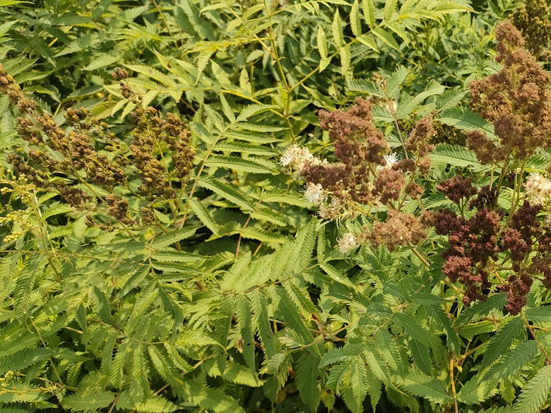 IMG20220912143025.jpg