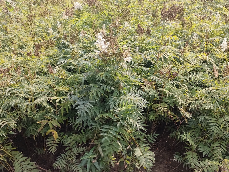 IMG20220912143036.jpg