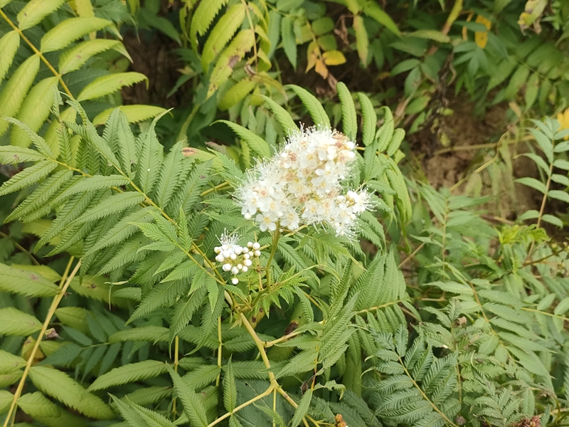 IMG20220912143223.jpg