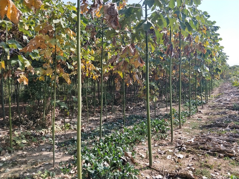 IMG20181101111344.jpg