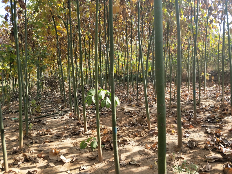 IMG20181101112024.jpg