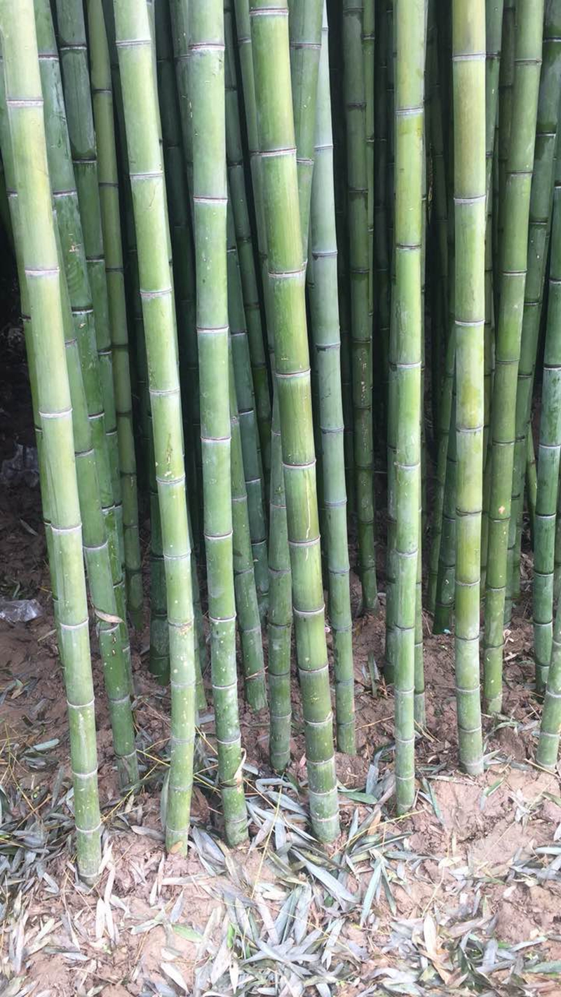 微信图片_2018092112111443.jpg