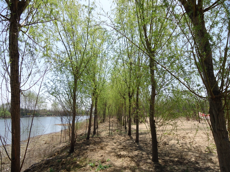 DSC00152.JPG