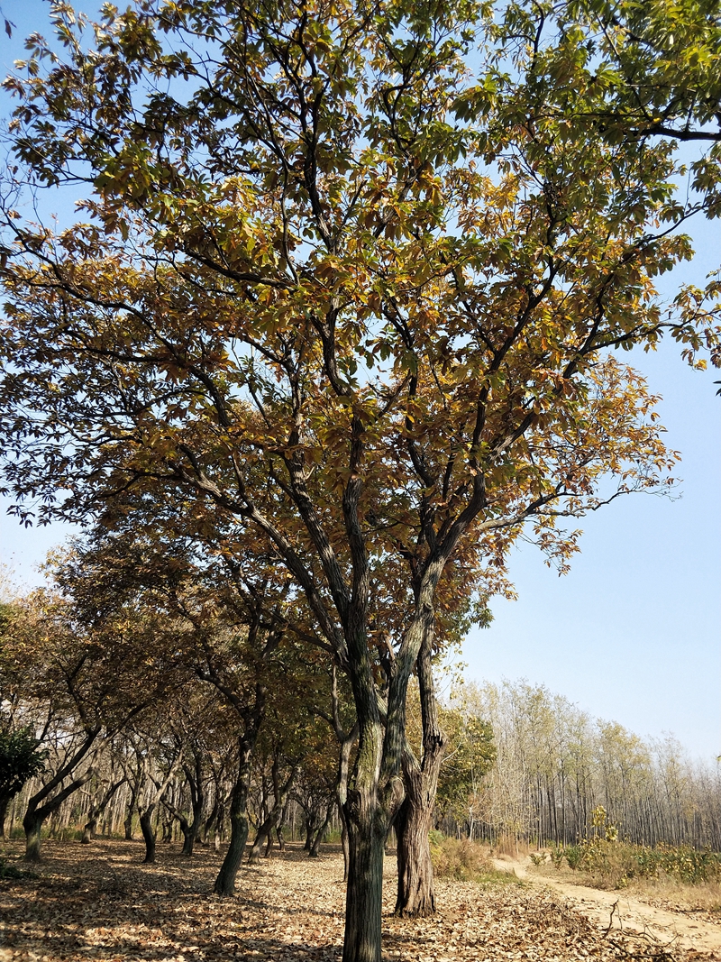 IMG20181101112552.jpg