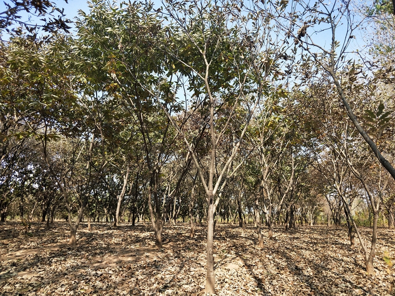 IMG20181101112821.jpg