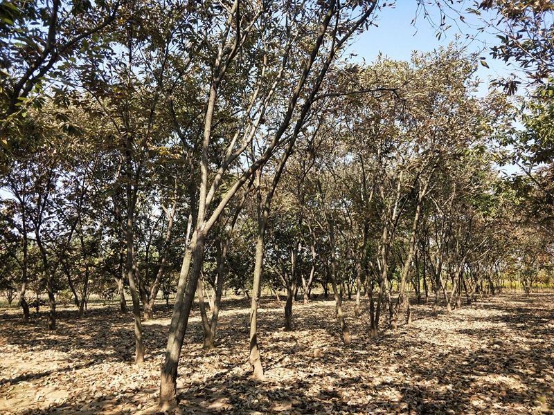 IMG20181101112851.jpg