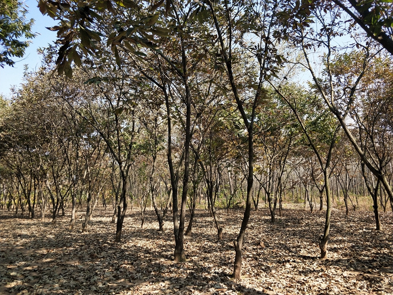 IMG20181101112911.jpg