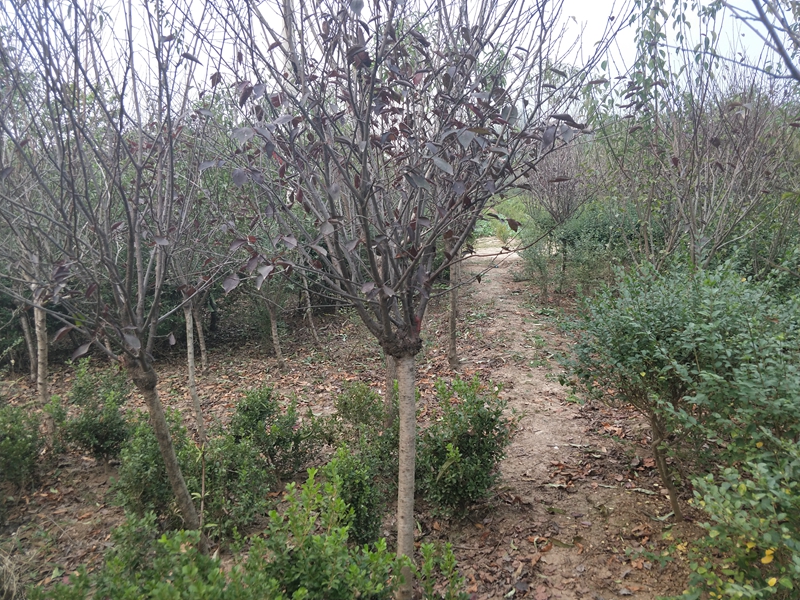 IMG20181009164832.jpg