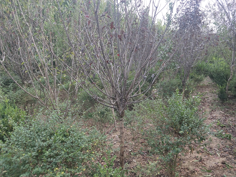 IMG20181009164913.jpg