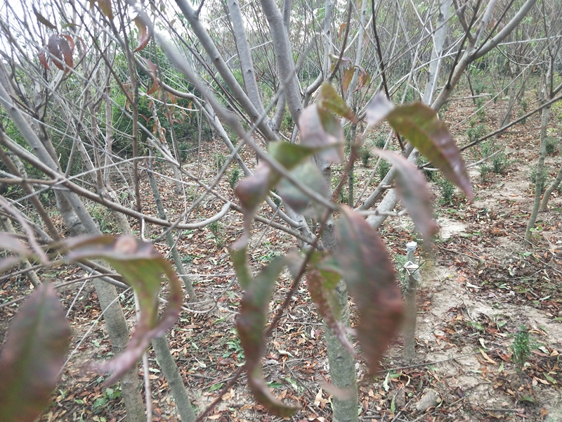 IMG20181009165013.jpg