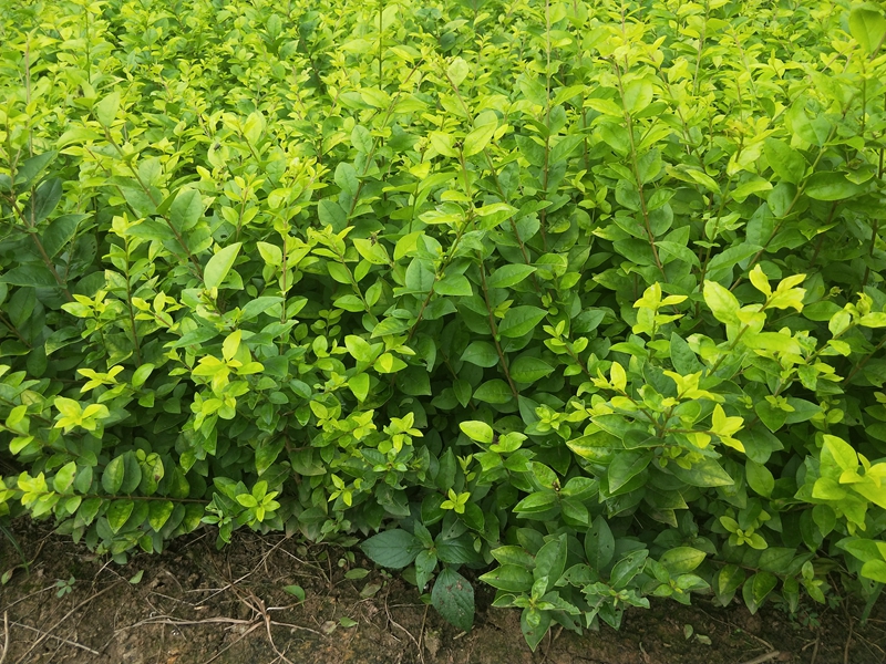 IMG20180703120537.jpg